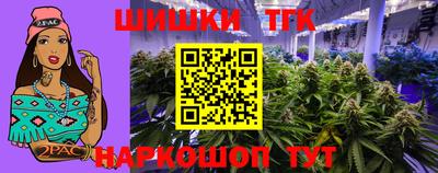 сатива Лесосибирск