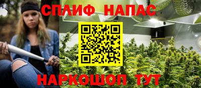сатива Лесосибирск