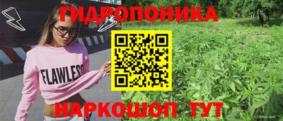 сатива Лесосибирск