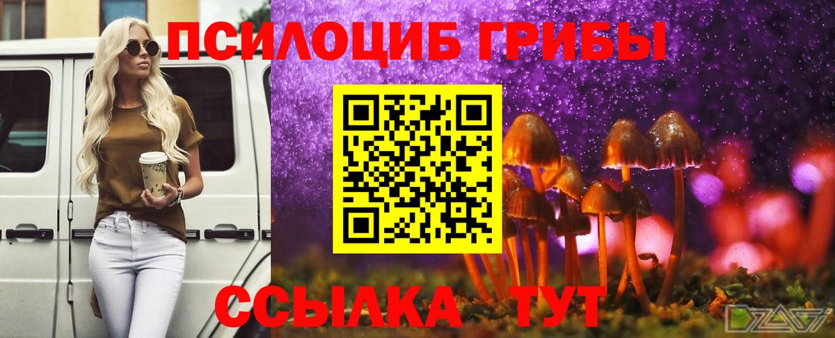 Галлюциногенные грибы Cubensis  Вход с VPN  Псилоцибиновые грибы мухоморы  Елабуга 